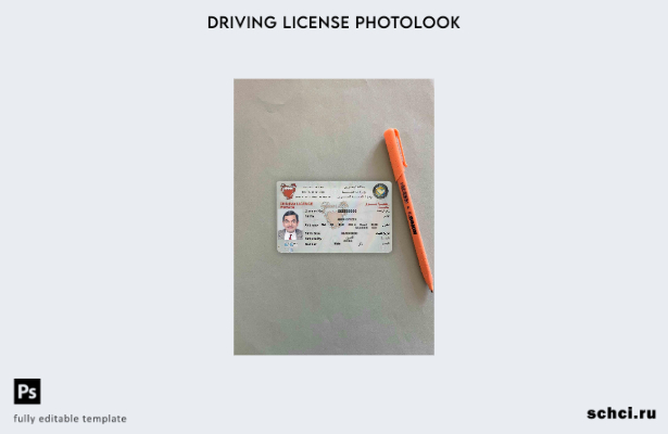 цифровая загрузка шаблона Bahrain DL Photolook FRONT